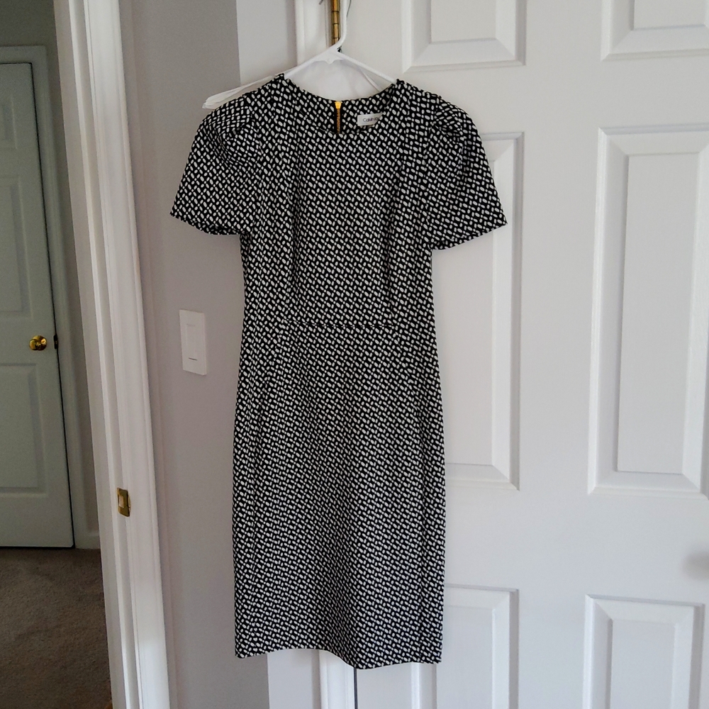 Calvin Klein Size 2 Dress
